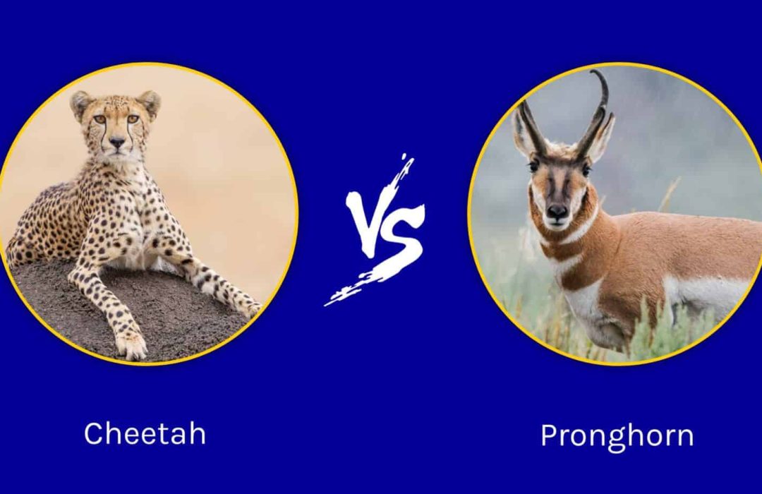 AI, Productivity & Rethinking Narratives