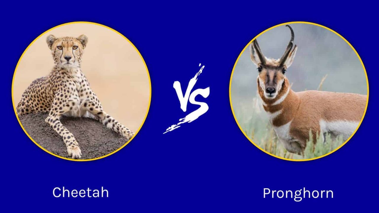 AI, Productivity & Rethinking Narratives